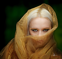 GOLD-AND-GREEN500.jpg