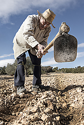 Campesino. GabrielMartinezToledo_Campesino_web.jpg