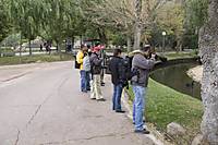 Hierros8.jpg