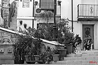 IMG_4232-2.jpg