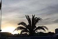 IMG_63783.JPG