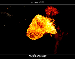 IMG_7287-Editar.jpg