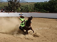 IMG_8159_Medium_.JPG