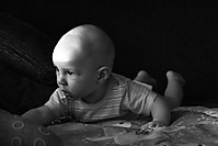 IMG_8181_R.JPG