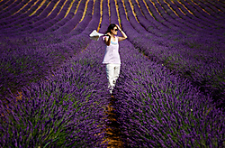 Lavanda3.jpg