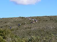 P1070991_800x600_.JPG
