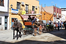 Sant_Antoni_2014_059_Large_.jpg