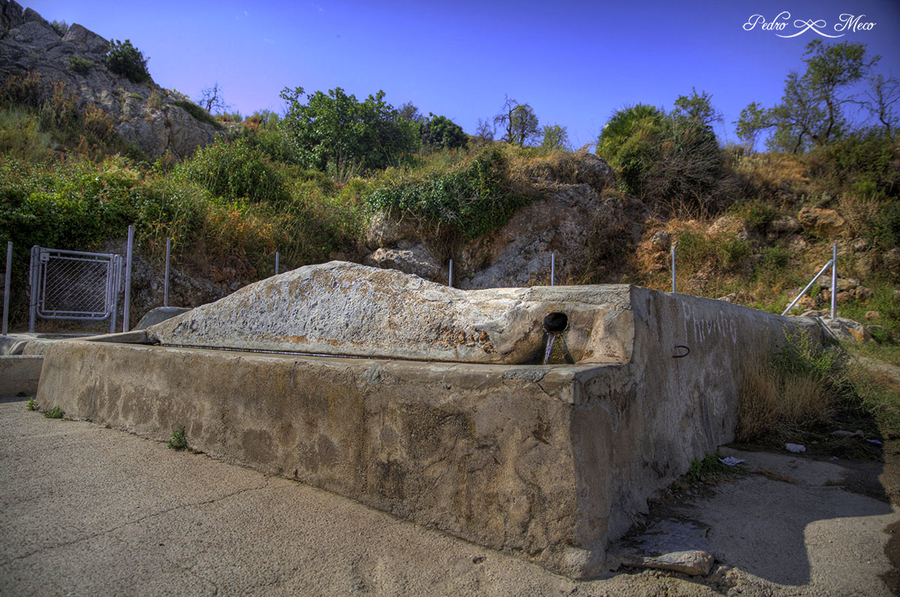 La fuente