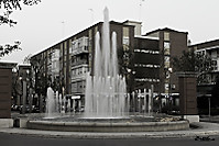 08042011-Focofijomeettingl-140.jpg