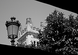 15082011-IMG_7520.jpg