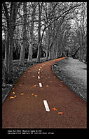 20071223_8067_cutout.jpg