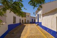 Campo_de_Criptana071.jpg