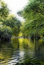 DPP_00380_Copiar_.jpg
