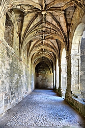 DPP_0103_Copiar_2.jpg