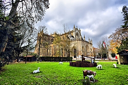 DPP_0205_Copiar_4.jpg