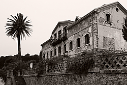 DSCF3243.jpg