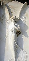 DSCI0539_Large_.JPG