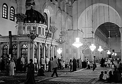 Damascobn_14.jpg