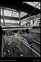 Estacion_ppio_BN_72ppp.jpg