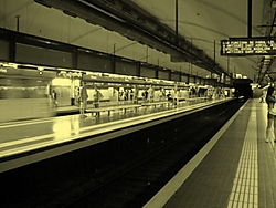 IMGP0395.jpg