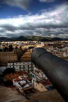 IMG_0103_1_2_Medium_.jpg
