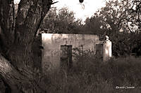 IMG_0782_canonistas.jpg
