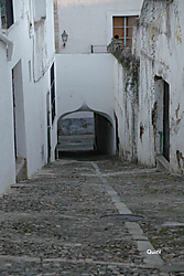 IMG_0793_Copia_5.jpg