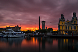 IMG_1215.jpg