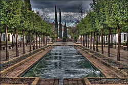 IMG_1290C.jpg