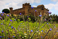 IMG_1463.jpg