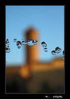 IMG_1829.jpg