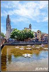 IMG_1999-21.jpg