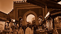 IMG_3383_-_copia_2.jpg