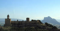 IMG_3592.jpg