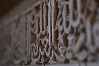 IMG_4342.jpg