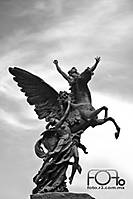 IMG_5558-1_bn.jpg
