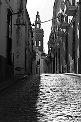 IMG_6146_Copia.jpg