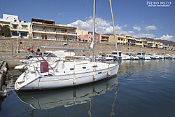 IMG_7869_2.jpg