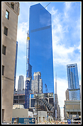 IMG_80711.jpg