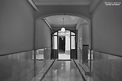 IMG_84124.jpg