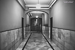IMG_84131.jpg