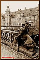 IMG_84721.JPG