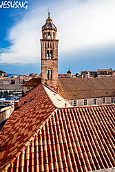 IMG_85441.jpg