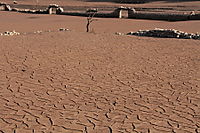 IMG_9130_resize.JPG