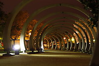 MG_2782-1.jpg