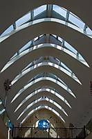 MG_5403xnd_Small_.jpg