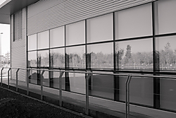 MG_7640-1.jpg