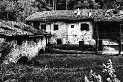 Molino15.jpg