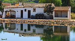 Reflejo_andaluz.JPG