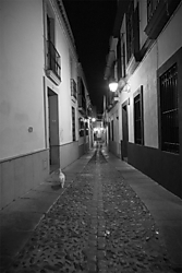 SalvaRaya_13_g24.jpg